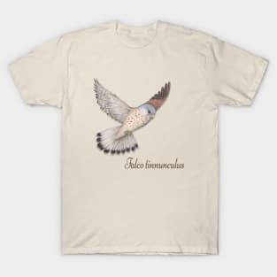 Flying Kestrel illustration T-Shirt
